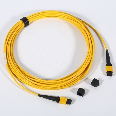O remendo da fibra ótica de MPO MTP cabografa o revestimento de PVC 12 de perda de inserção 0.5dB/24 núcleos